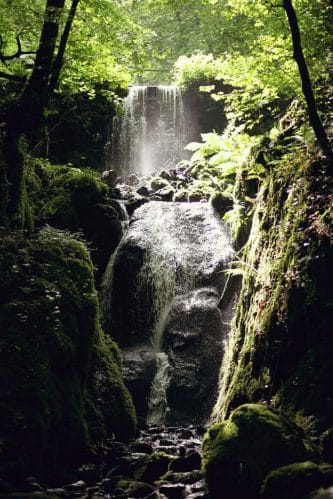 Clampitt Falls Canonteign Falls