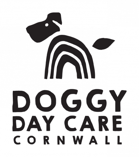 Dog Daycare Cornwall
