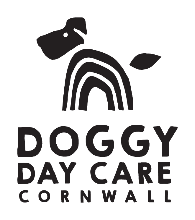 Dog Daycare Cornwall