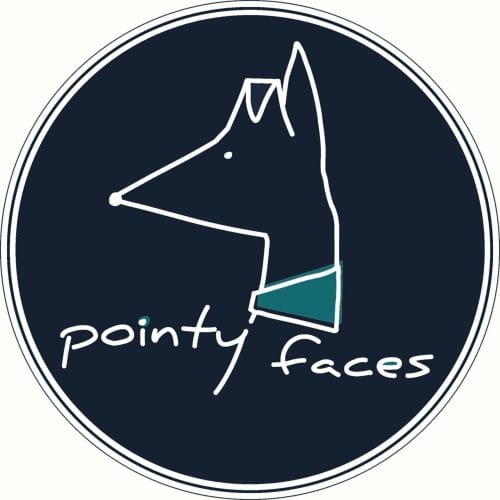 Pointy Faces Logo
