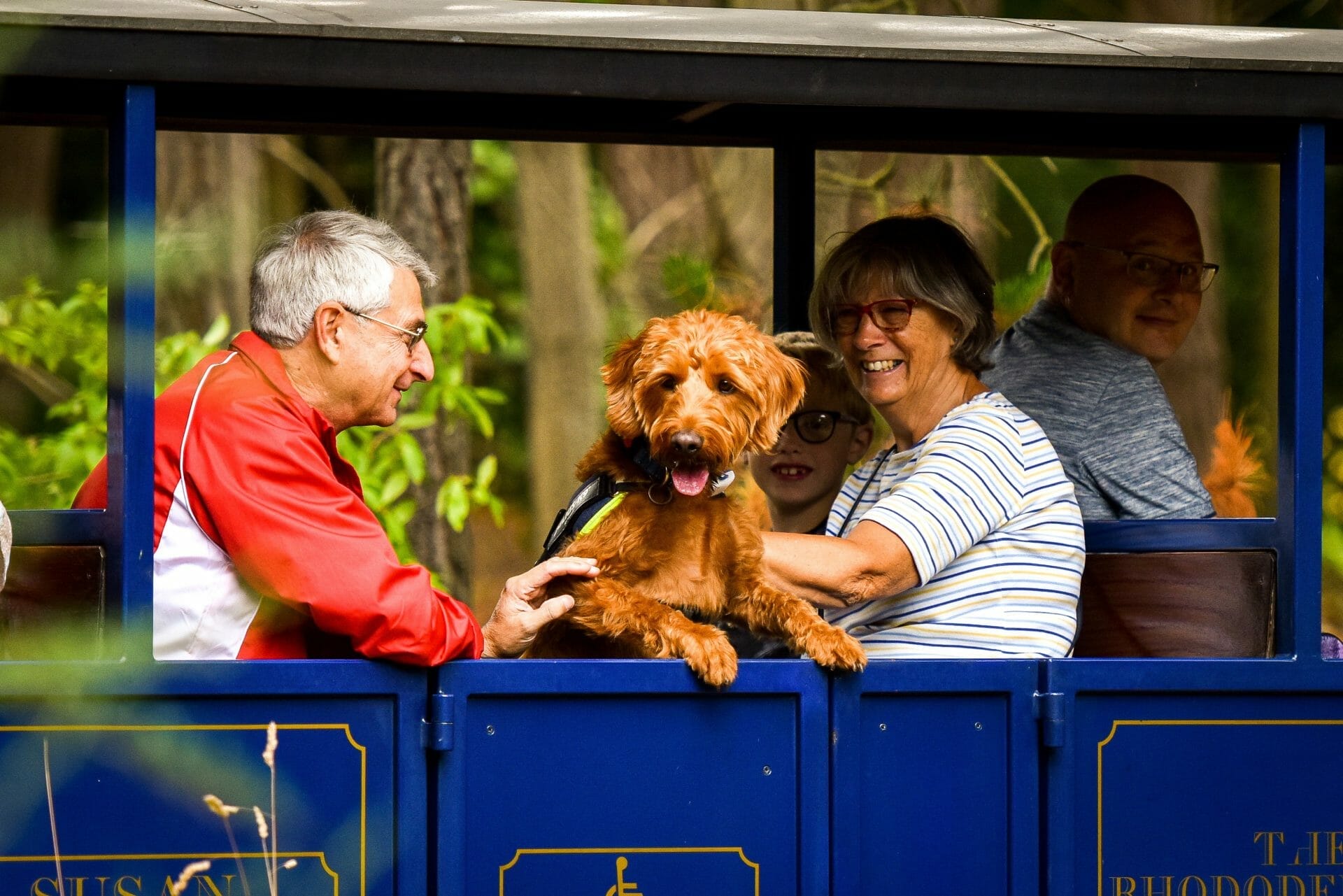 Dog Friendly Train at Exbury Gardens