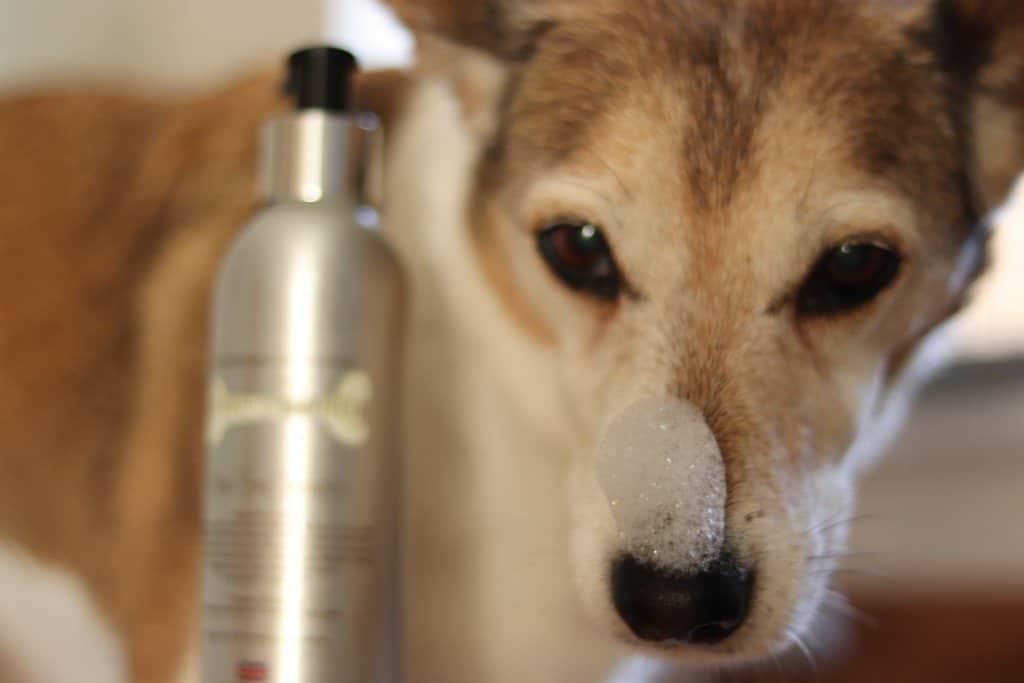 Bonnie and Bailey Luxury Dog Shampoo