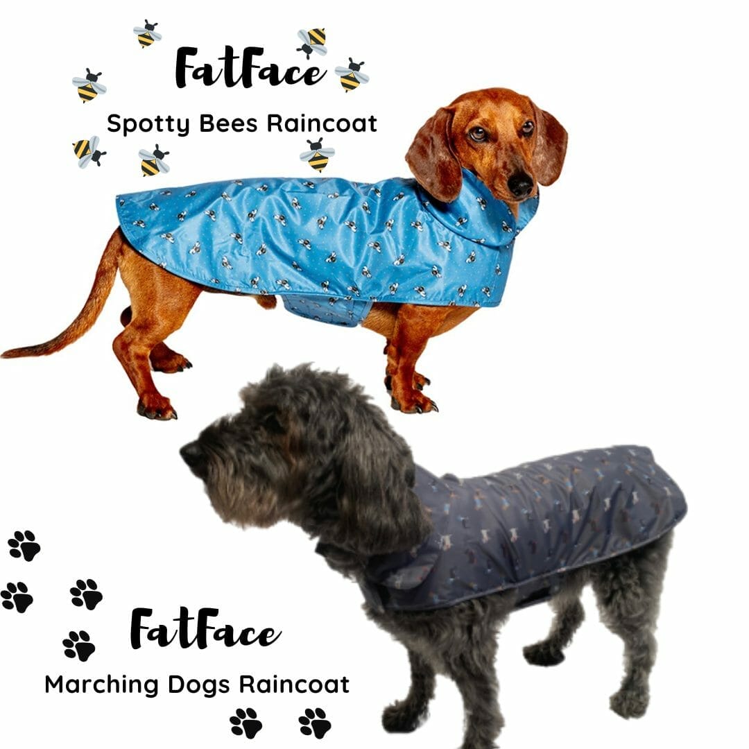 FatFace Dog Raincoats