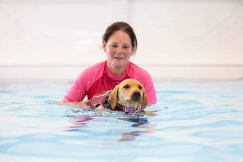 Lucy Pet Carer Canine Hydrotherapy