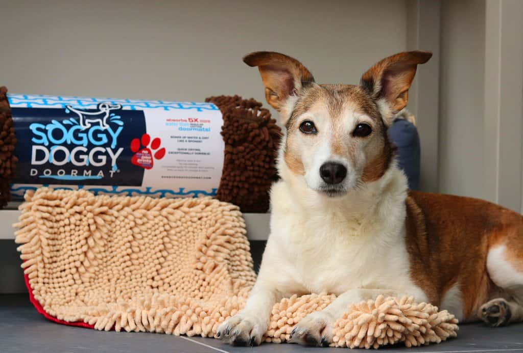 Soggy doggy clearance crate mat