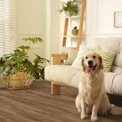 Flooring for Dogs