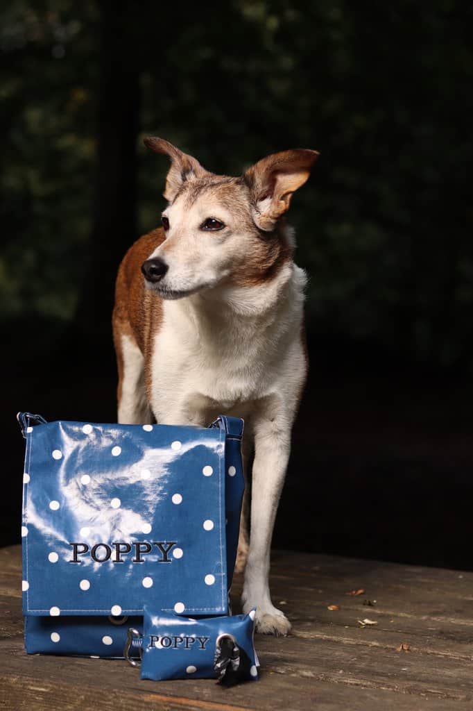 The Cosy Canine Company Dog Dog Walking Bag
