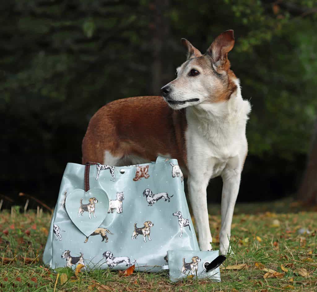 The Cosy Canine Company Oilcloth Shopping Bag and Poop Bag Holder