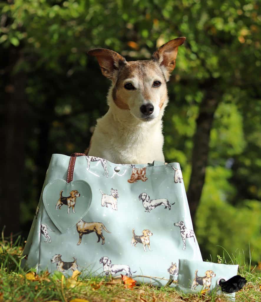 The Cosy Canine Shopper Bag