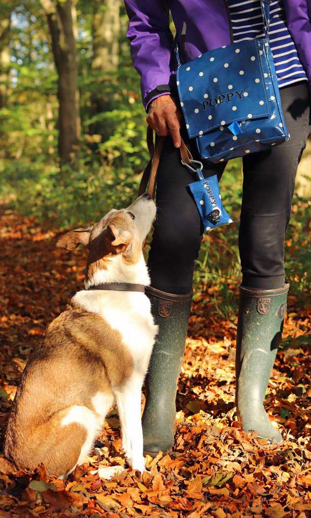 The Cosy Canine Poop Bag Holder and Dog Walking Bag