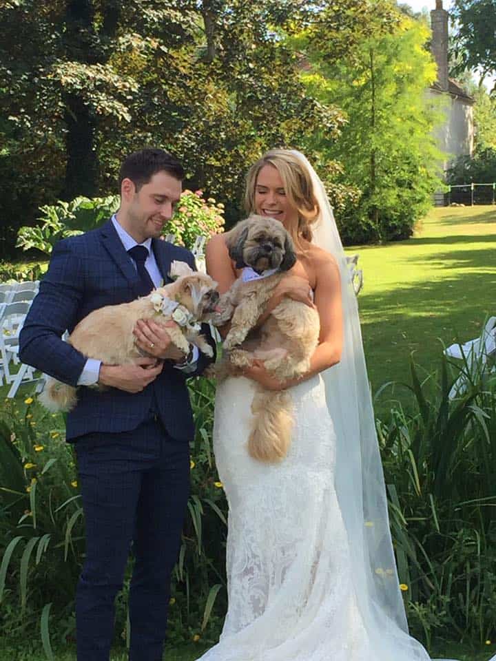 Dog Wedding Chaperone Kent