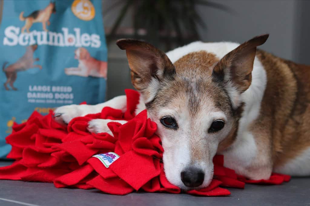Scrumbles Dog Food Review