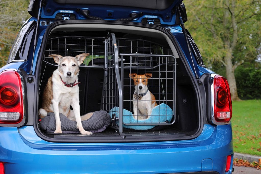Travall Dog Boot Divider for Mini 
