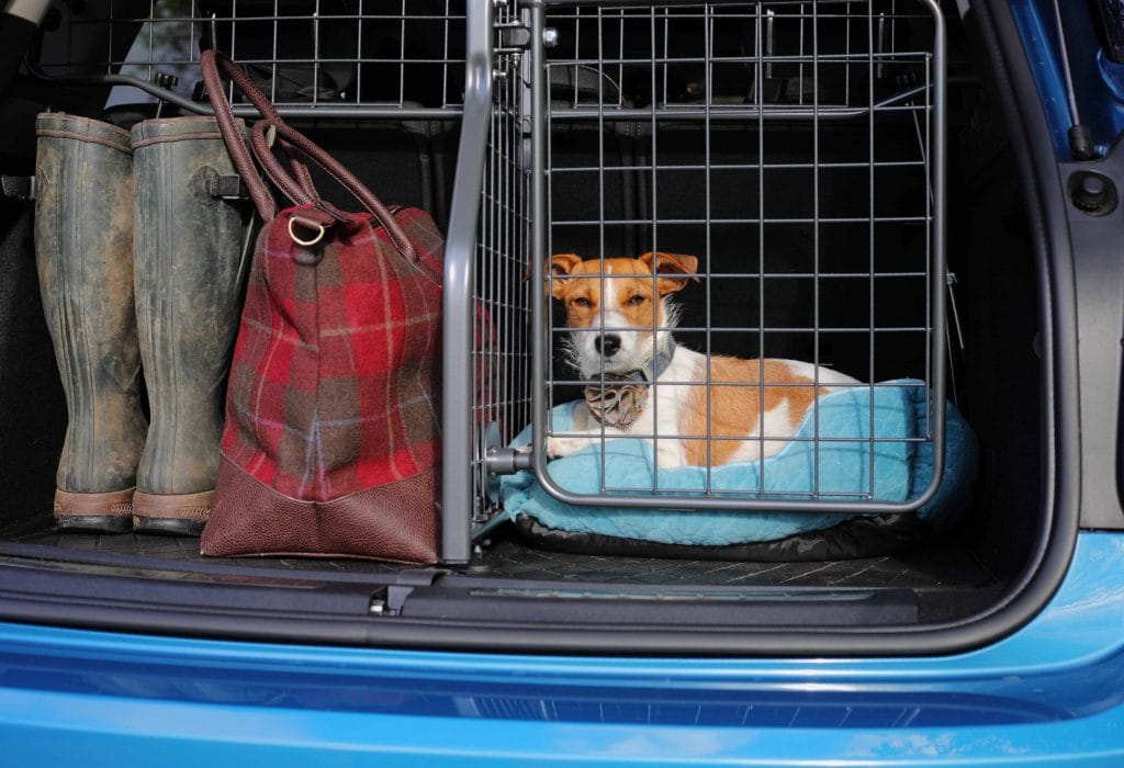 Travall Dog Divider and Tailgate for Mini Countryman