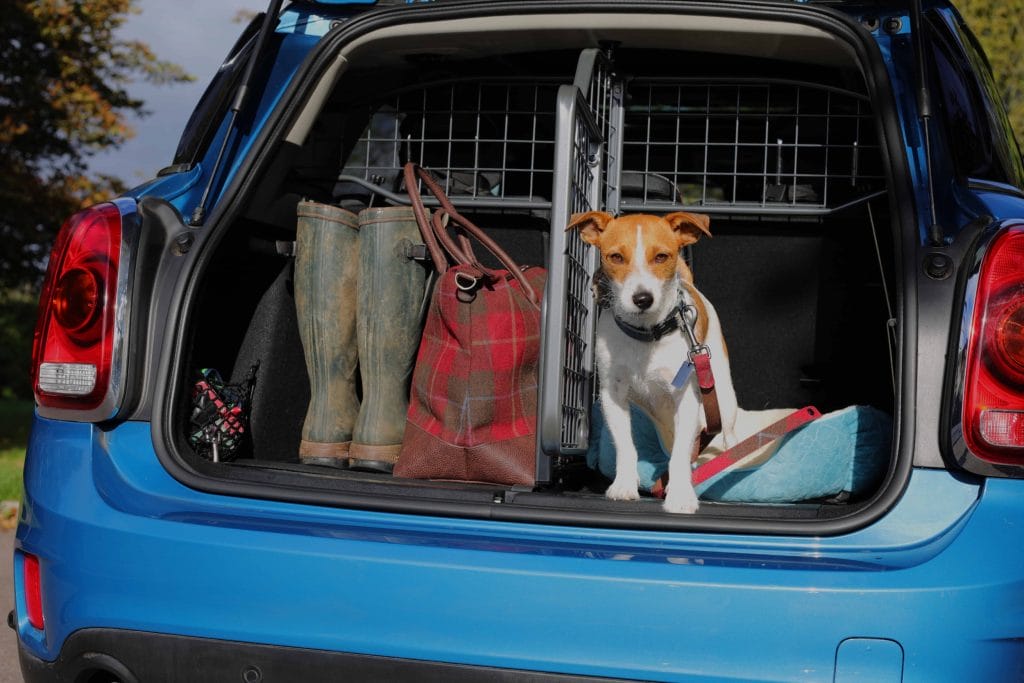 Travall Car Dog Guard