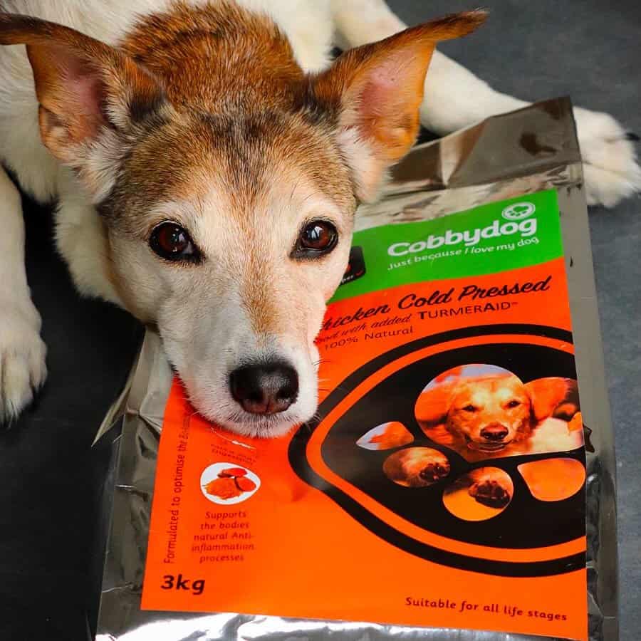 What to Pack for a Dog Friendly Getaway Dotty4Paws