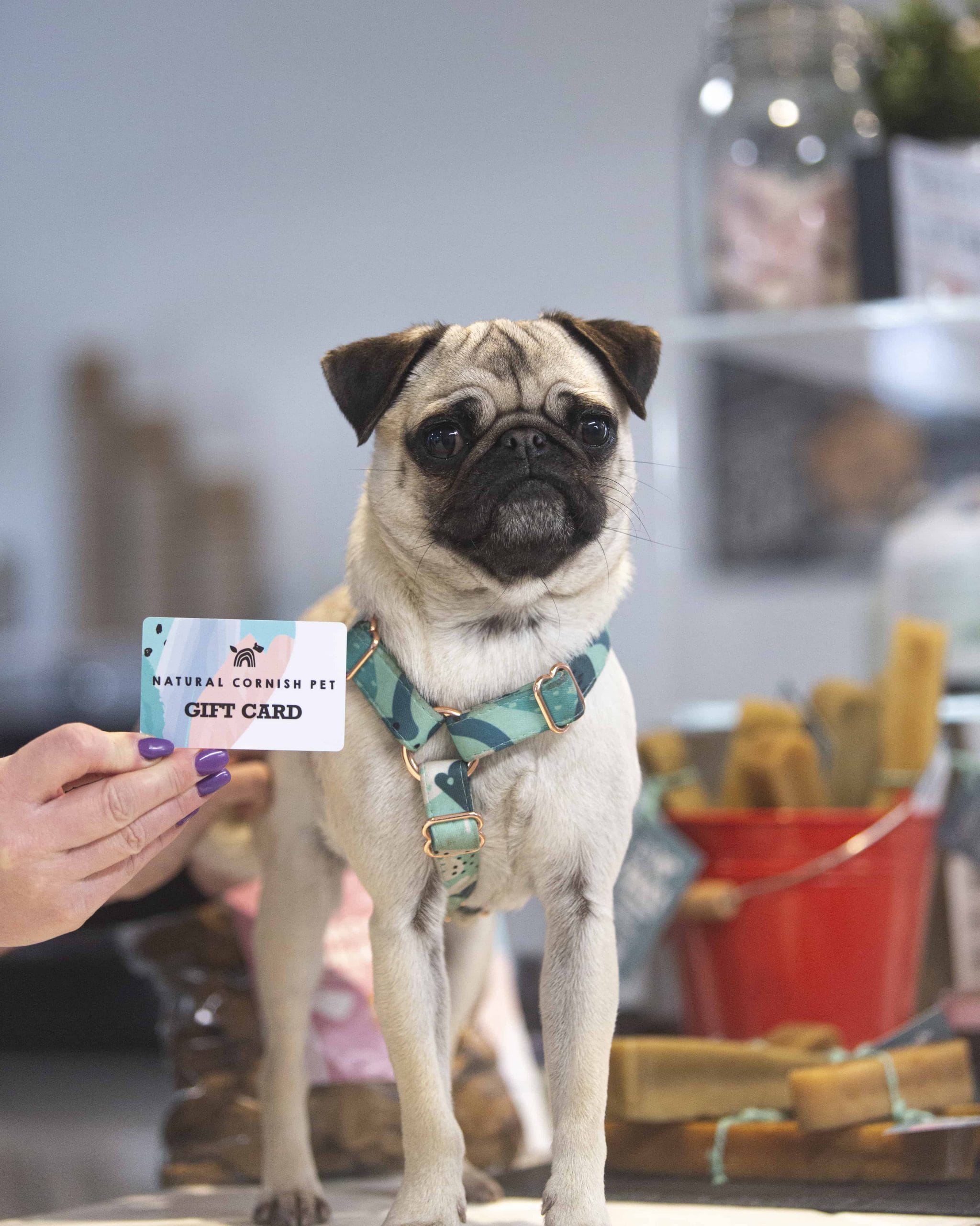 Natural Cornish Pet Shop Loyalty Card