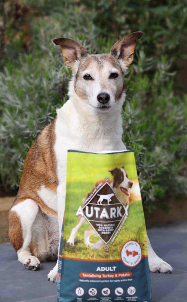 All about dog food hot sale autarky