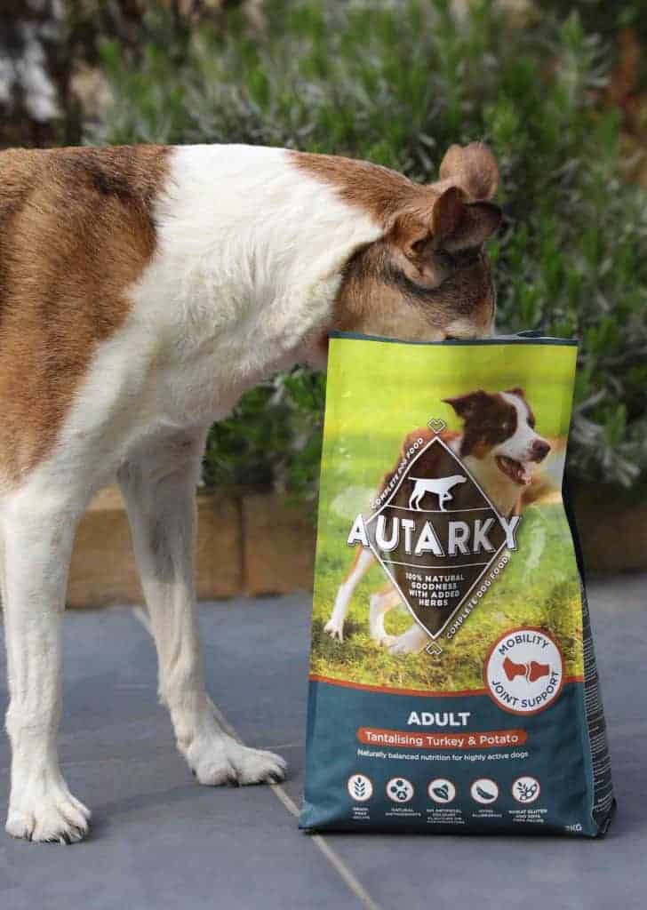 A Review of Autarky Complete Dog Food Dotty4Paws