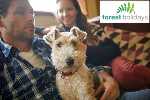 Dog Friendly Forest Holidays Forest of Dean