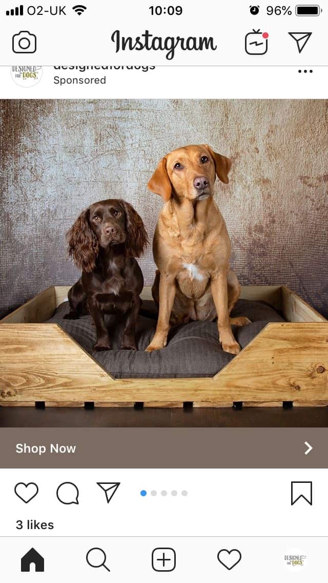 Designed For Dogs Luxury Dog Beds
