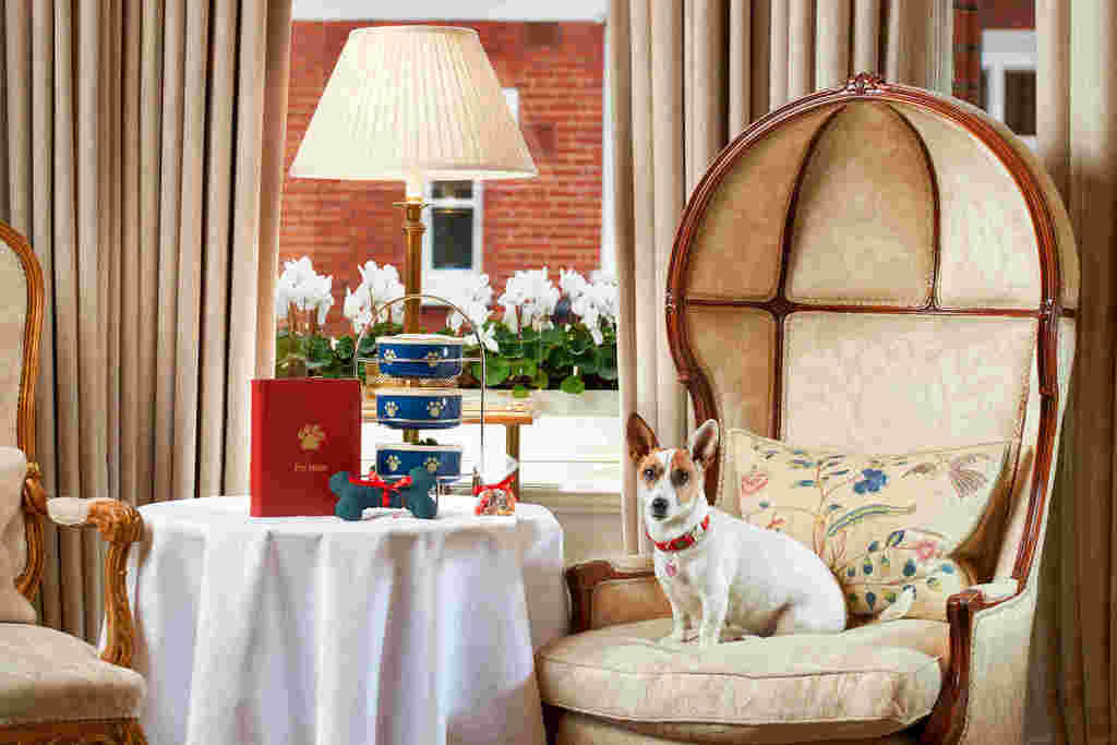 Egerton House Hotel Knightsbridge Dog Friendly.jpg