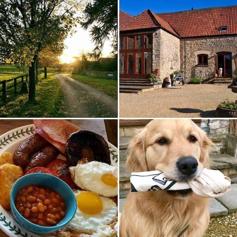 The Old Stables Dog Friendly Bed and Breakfast Shepton Mallet Somerset
