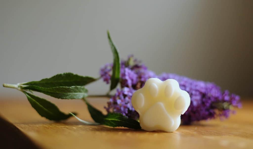 Pawfect Scents Pet Safe Wax Melts Dotty 4 Paws