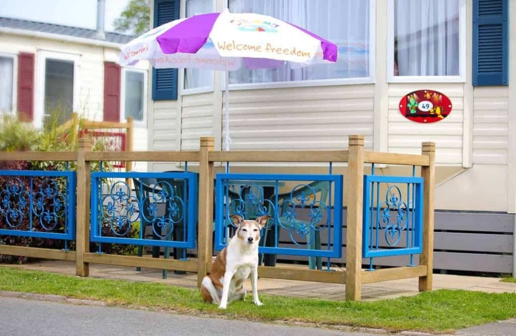 Dog Friendly Welcome Family Casperro Caravan Dawlish Warren