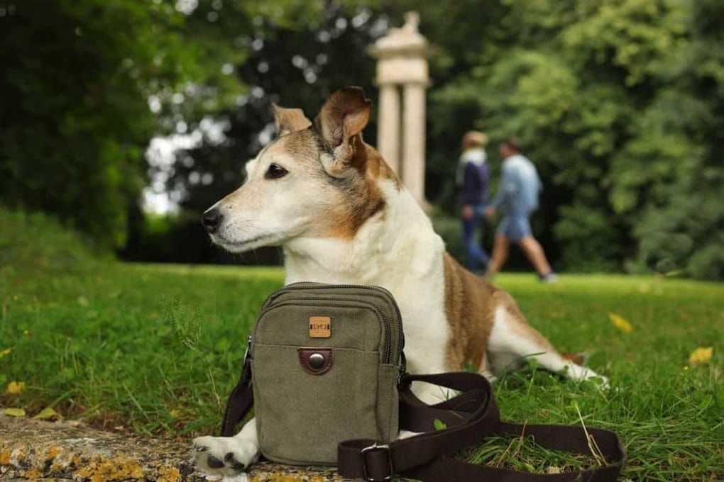 The Dandy Dog Company Compact Dog Walking Bag