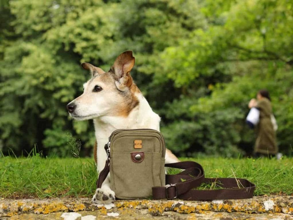 The Dandy Dog Company Dog Walking Bag