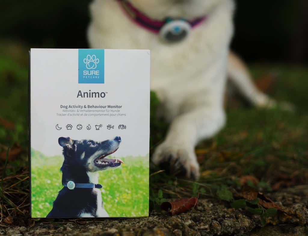 Animo Dog Health Monitor