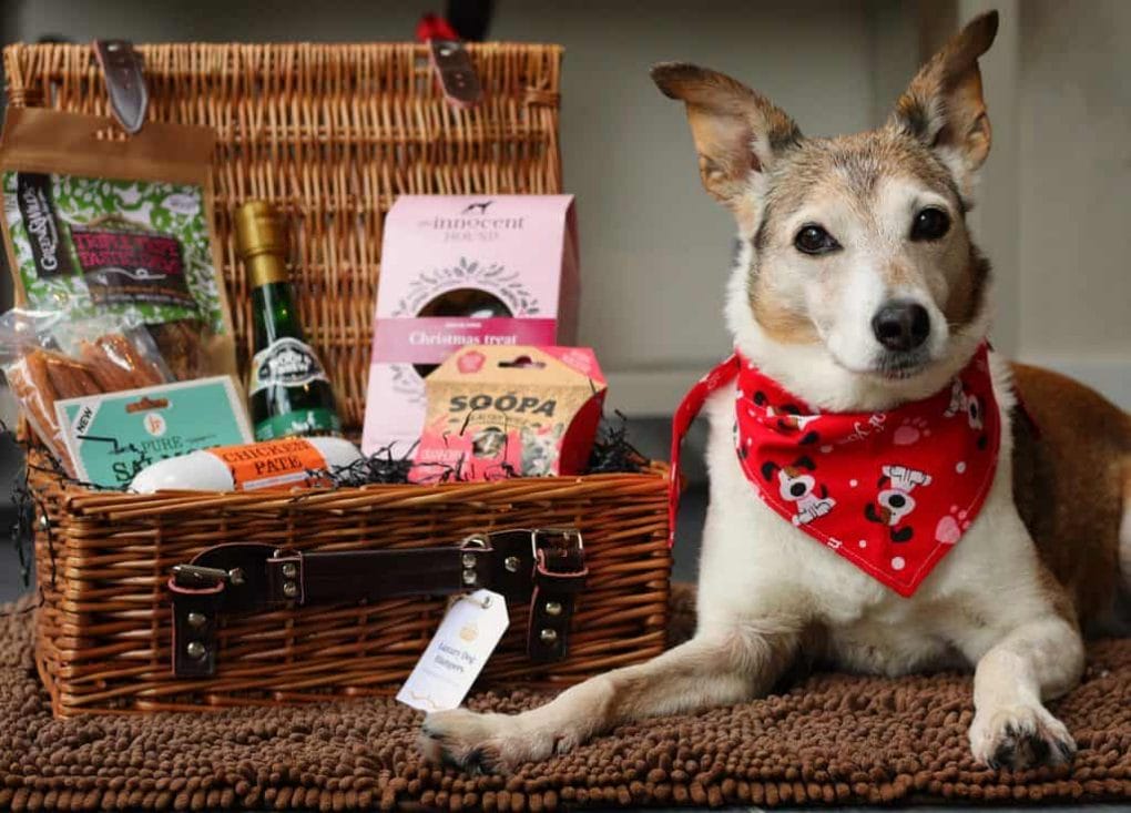 Gift Hampers for Dogs