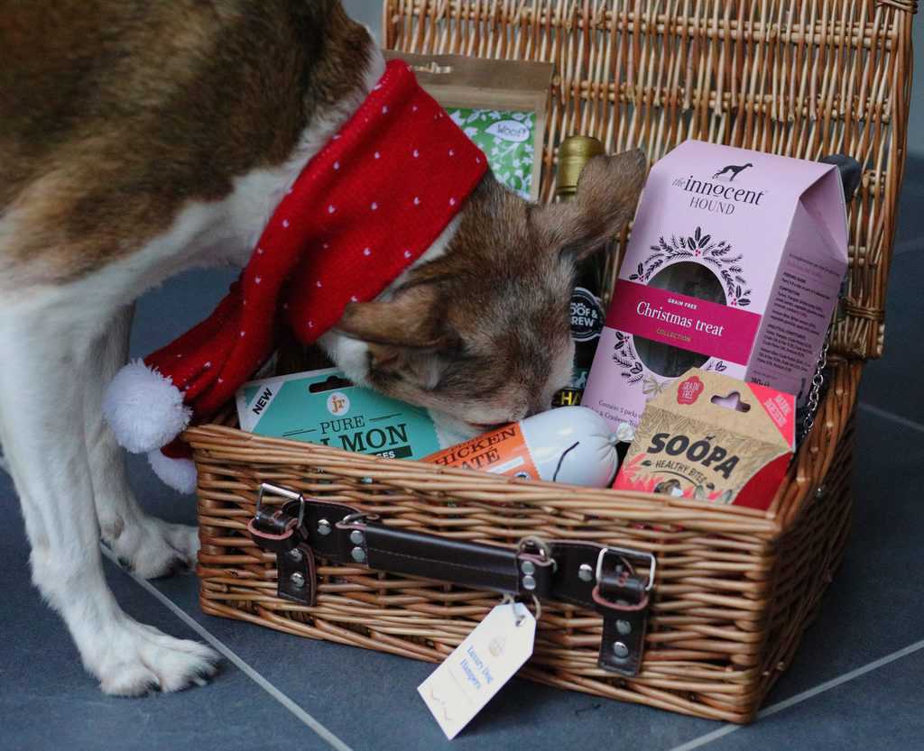 Luxury Gift Hampers for Dogs