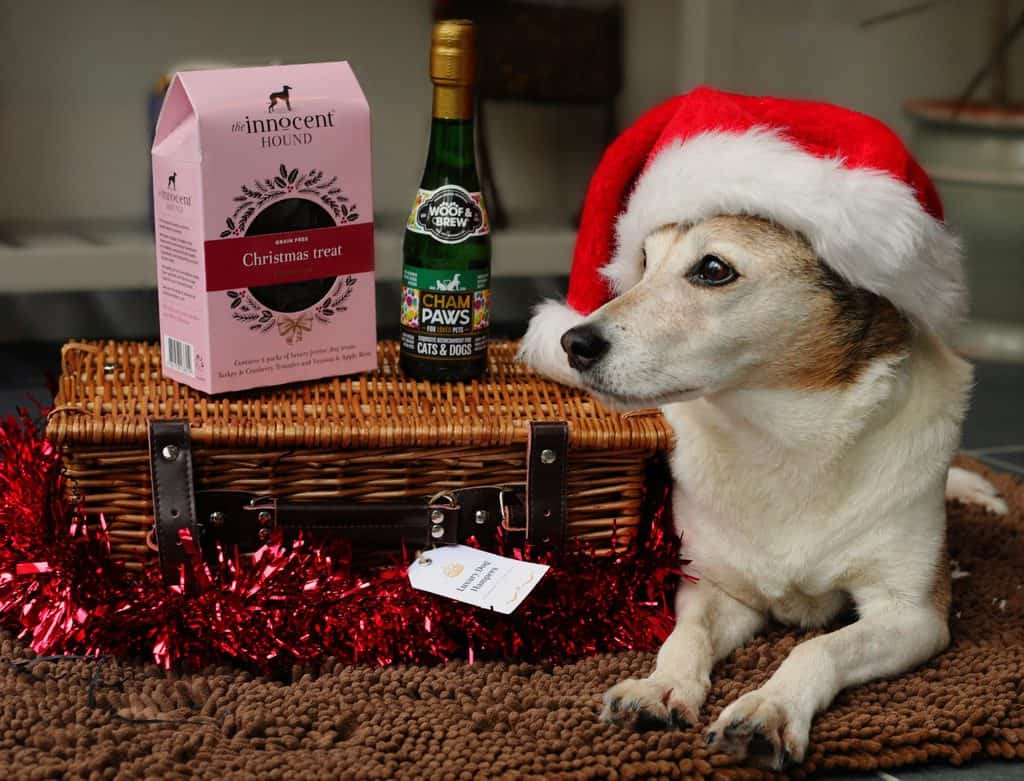 Luxury Hampers for Dogs