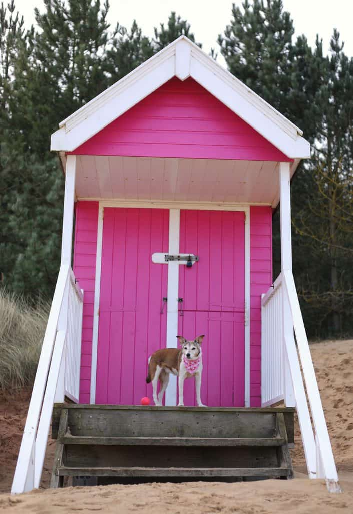 Pink Beach Hut at Wells Beach
