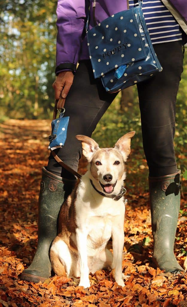 Cosy Canine Company Dog Walking Bag