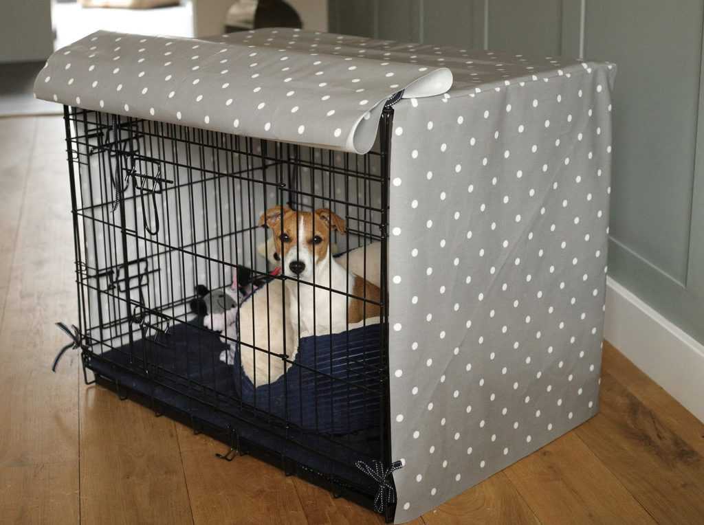 Puppy in Dog Crate
