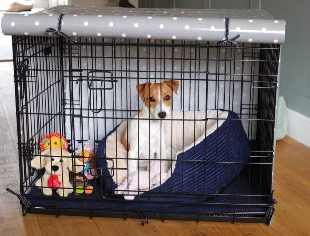 Puppy In Crate