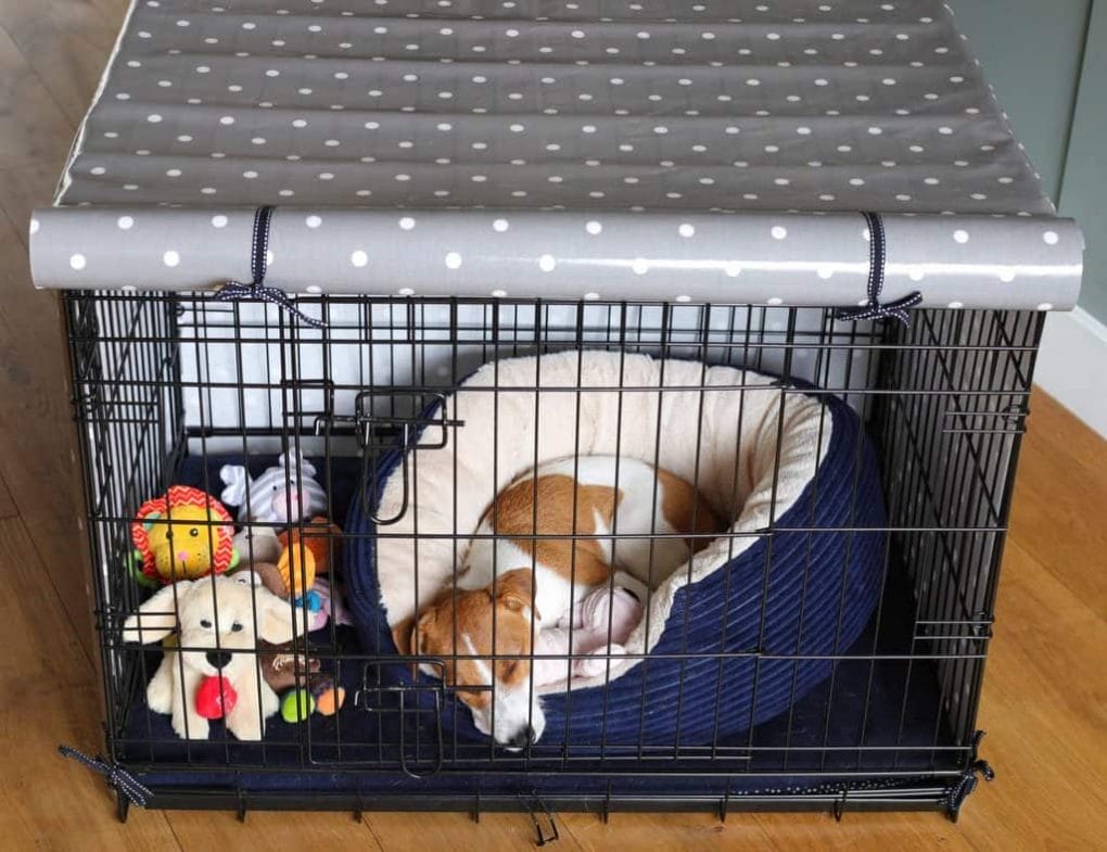 Puppy Asleep in Crate