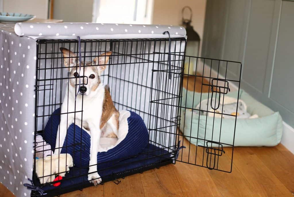 Moving puppy 2024 crate from bedroom