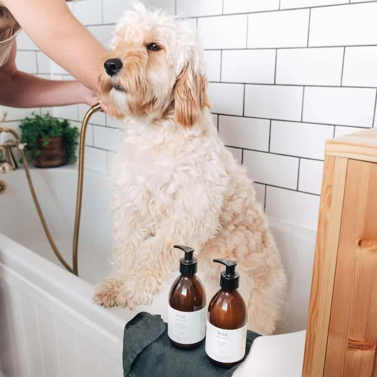 Saffron Pawtique Natural Dog Shampoo