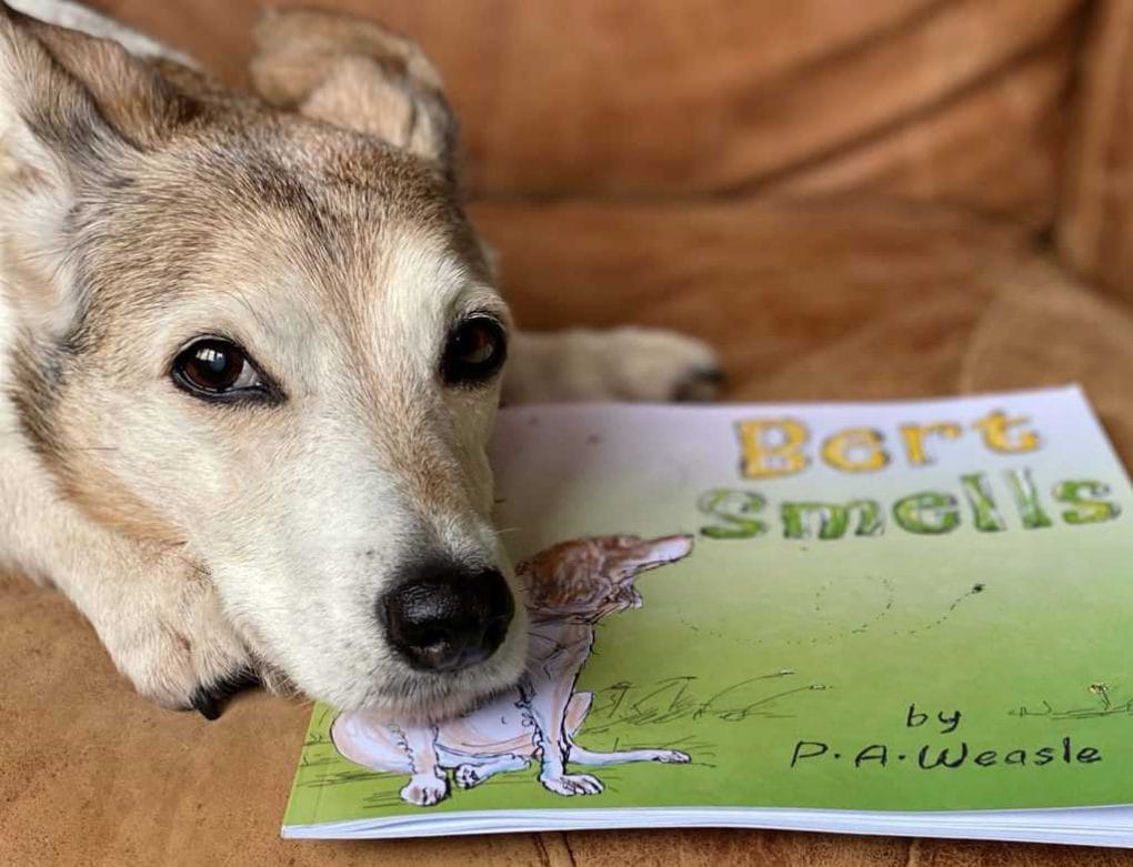 Bert Smells book for 4-6 year olds