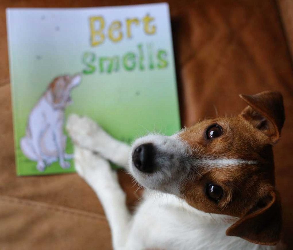 Bert Smells Children's Literature