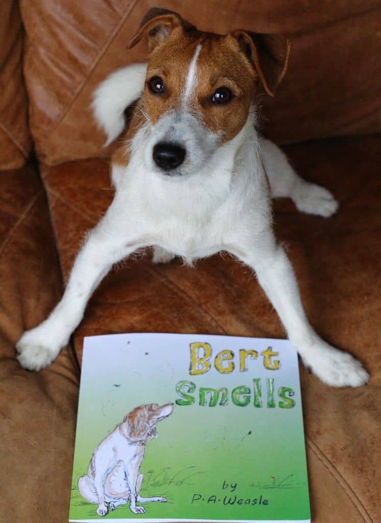Bert Smells Children's Story