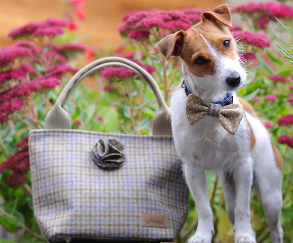 Hettie Tweed Handbag With Matching Dog Accessoires