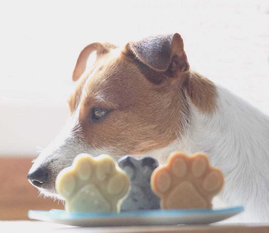 The Best Natural Dog Soap