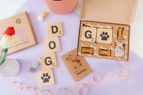 Send a Dog a Bone Gift Boxes