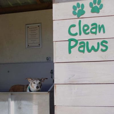 Clean Paws Dog Wash Hut at Oakdown Holiday Park Devon