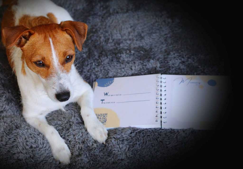 Dog Memory Journal